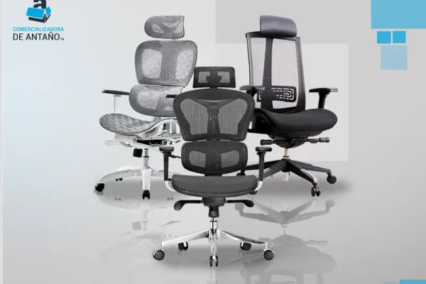 imgi_2_5ee8a9fb-ef72-4e4b-be66-6cf5571f3dc4